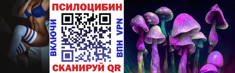 где найти   Сокол  Галлюциногенные грибы Magic Shrooms 